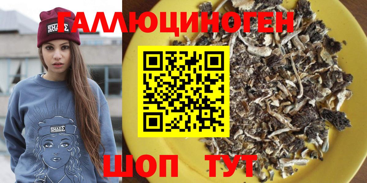 Галлюциногенные грибы Psilocybine cubensis Новошахтинск
