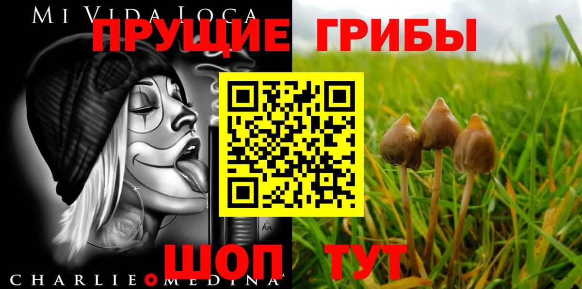 Псилоцибиновые грибы Cubensis  Вход с VPN  Новошахтинск  Галлюциногенные грибы мухоморы 